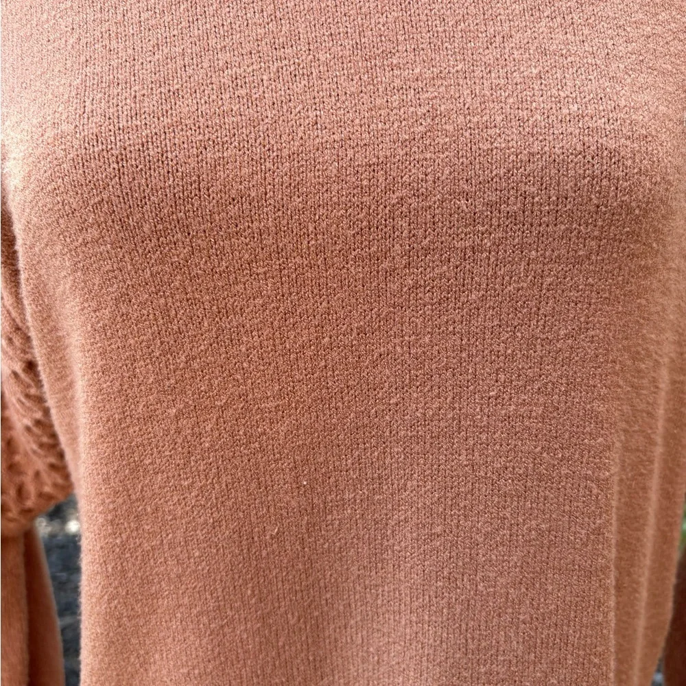 BB Dakota / Steve Madden; Warm Brown Long Sleeve Dress - Picture 8 of 10